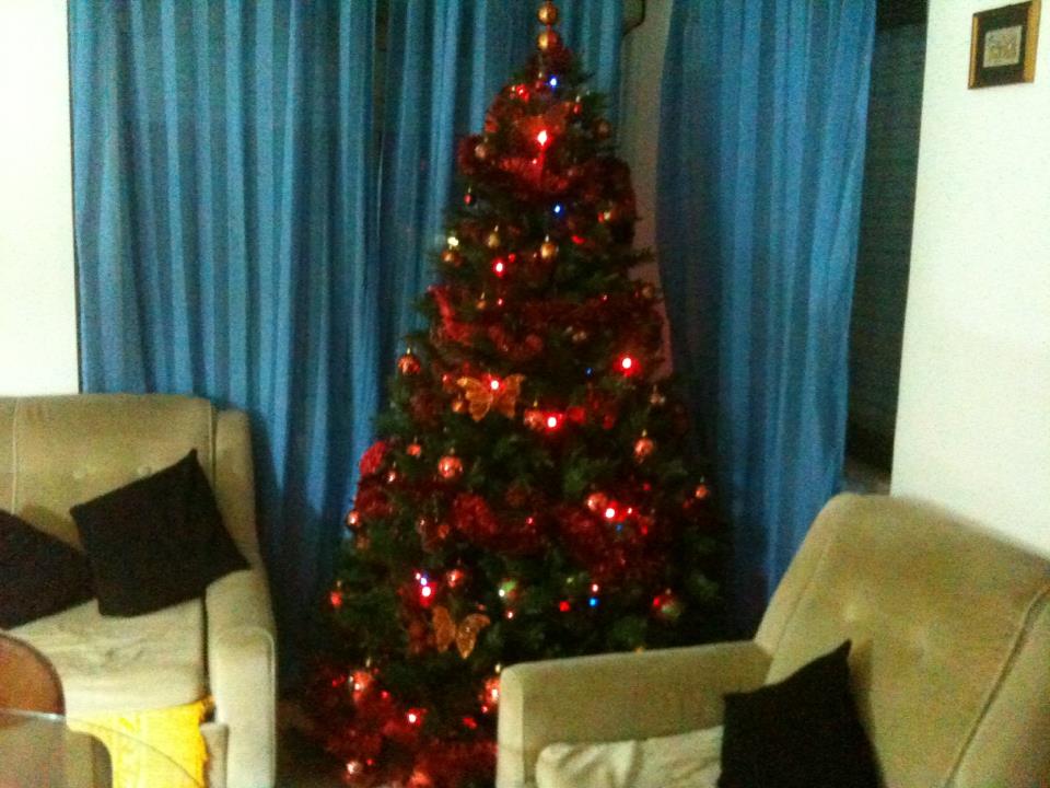 Arianna - 22/12/2012